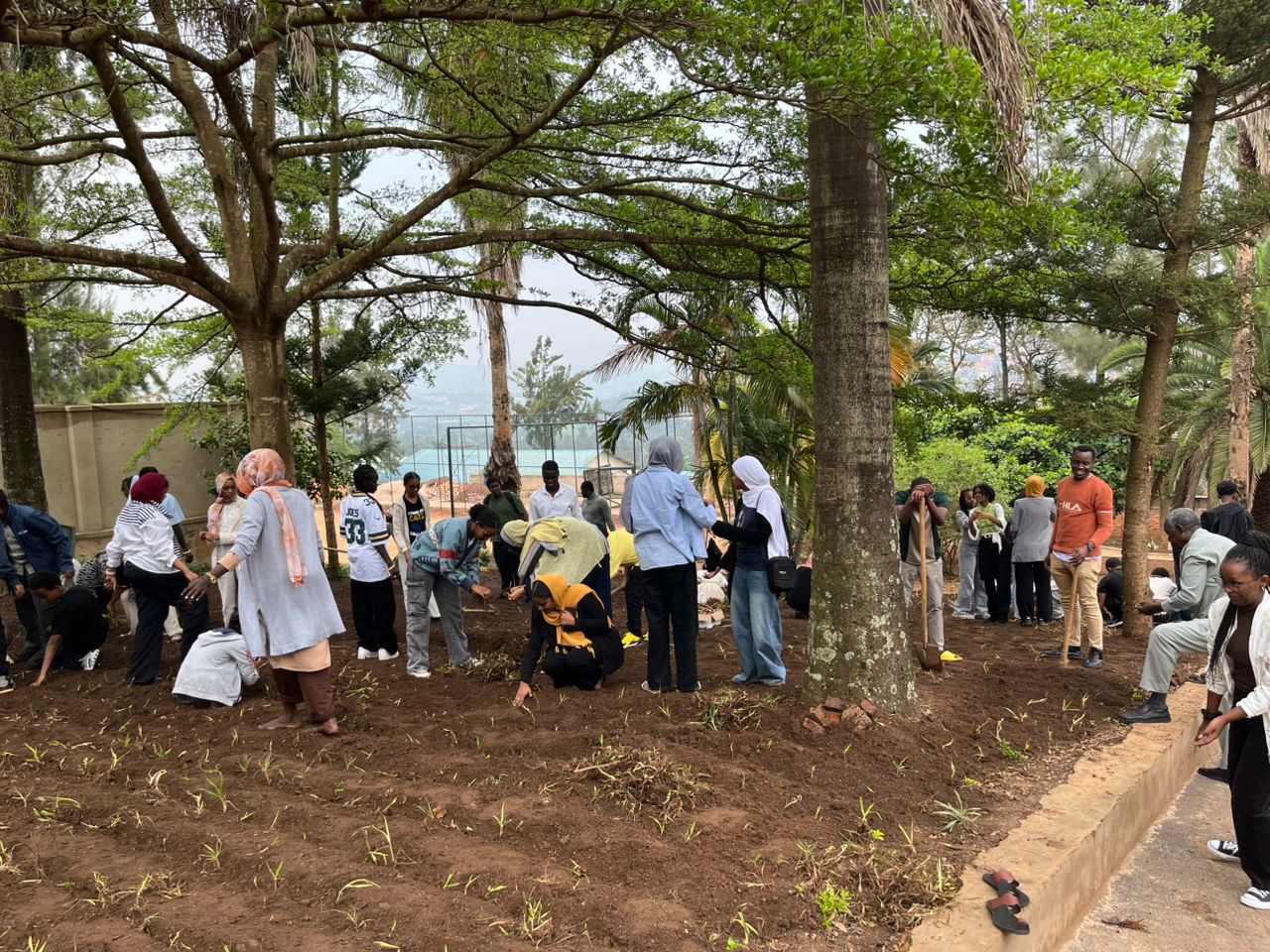Environmental Day